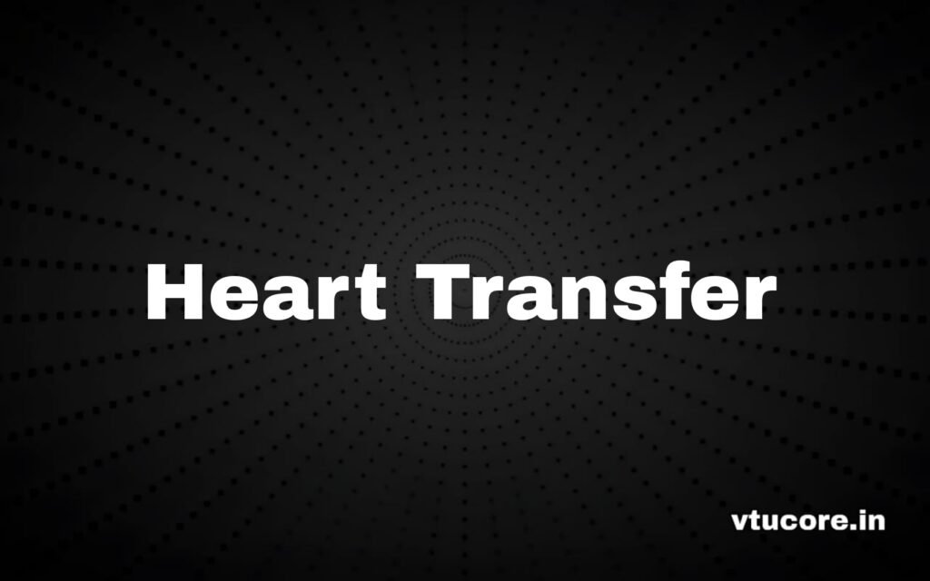 Picsart 25 10 31 00 09 56 526